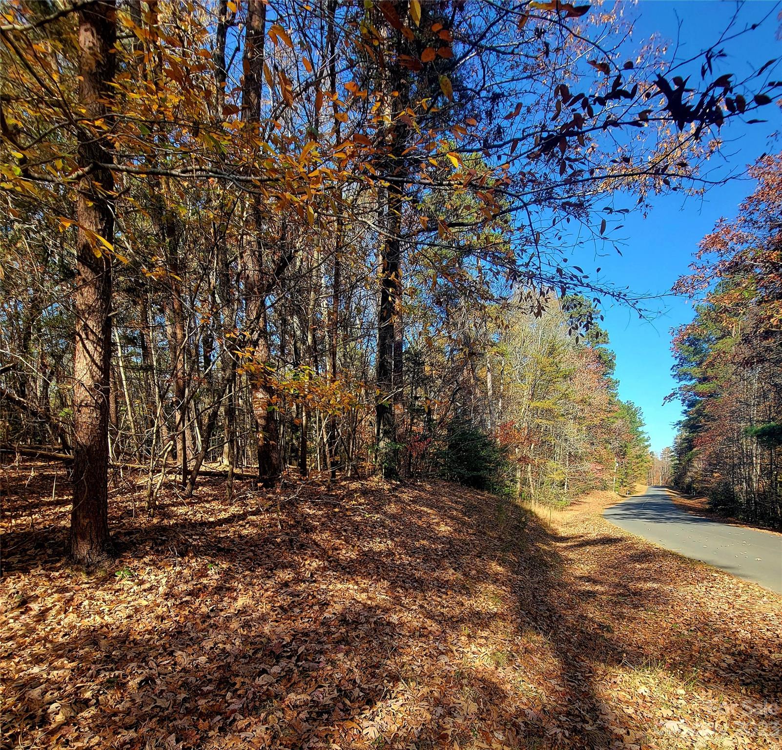 Woodrun - Land