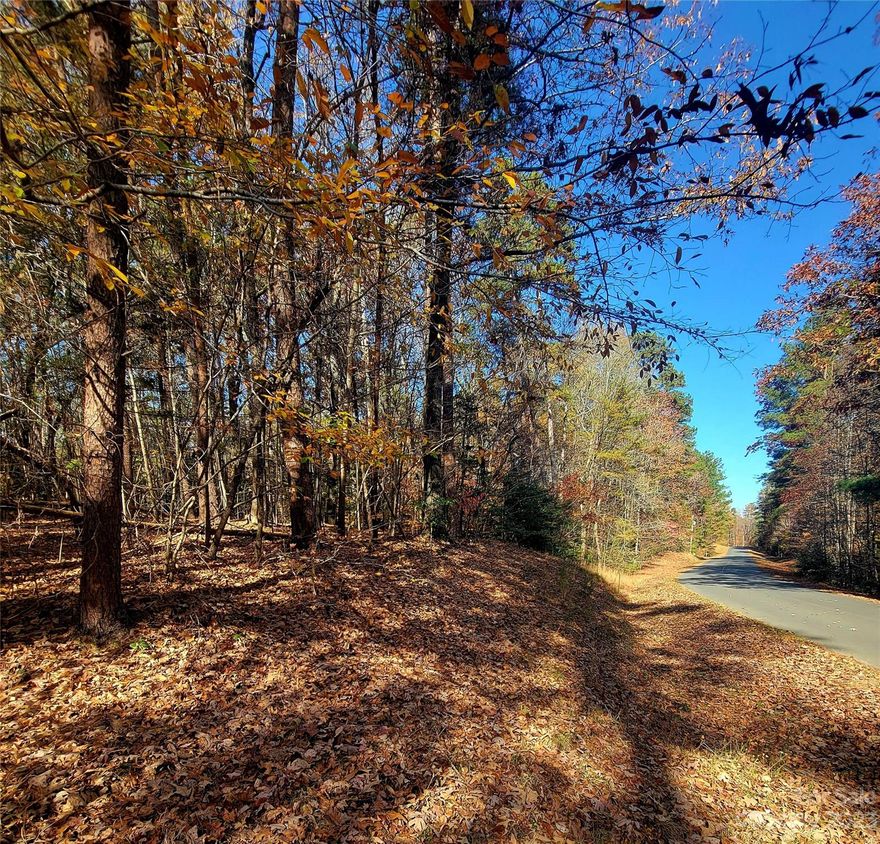This vacant lot in a gated community presents an unparalleled opportunity to create your own haven with a setting designed for comfort, leisure and security that combines with the allure of Lake Tillery's beauty with the convenience of upscale community living.  Revel in the perks of a pool, clubhouse, tennis courts, playground and so much more!  Schedule your visit today and envision the limitless possibilities this property holds for you!