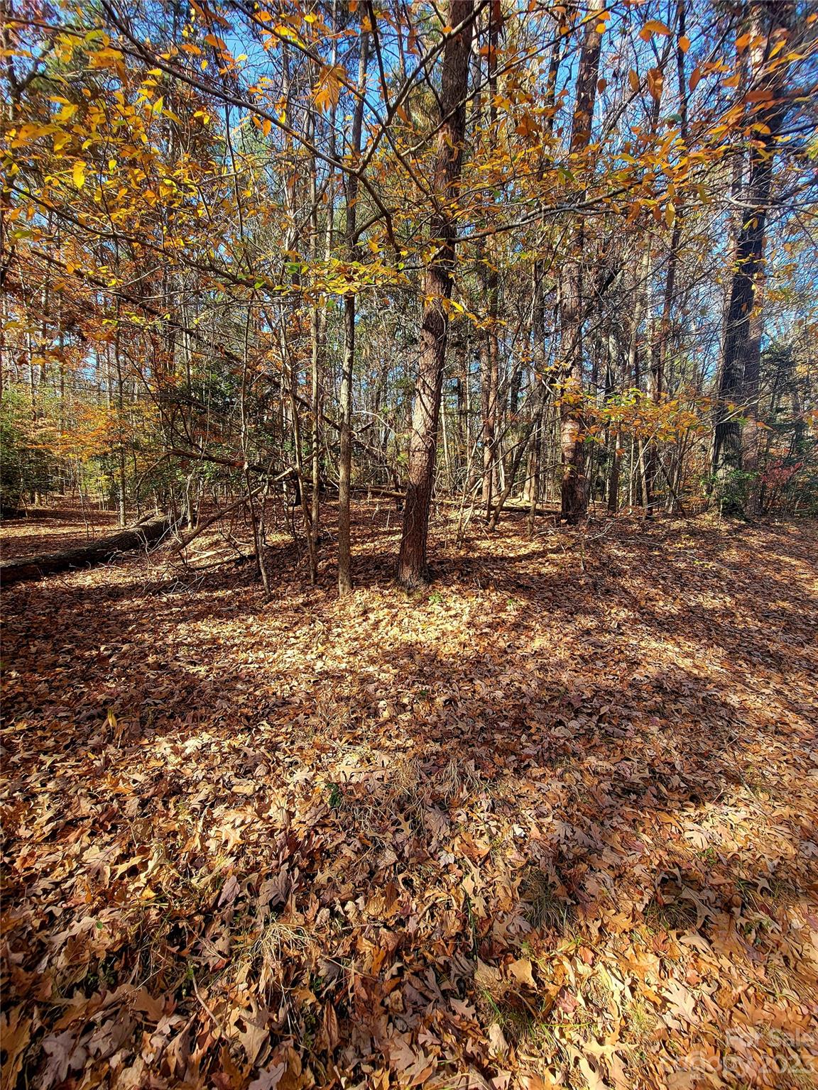 Woodrun - Land