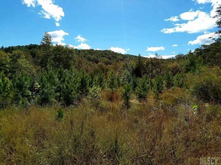 26+/- Acres on South Mountain. Private and secluded with ample water frontage on the “Little River”. Perfect for hunting, fishing, or building that secluded cabin you’ve always dreamed of!  Bring your 4-wheeler, fishing rod, or hunting rifle and disconnect from society! The property is bordered to the south by State owned game land.