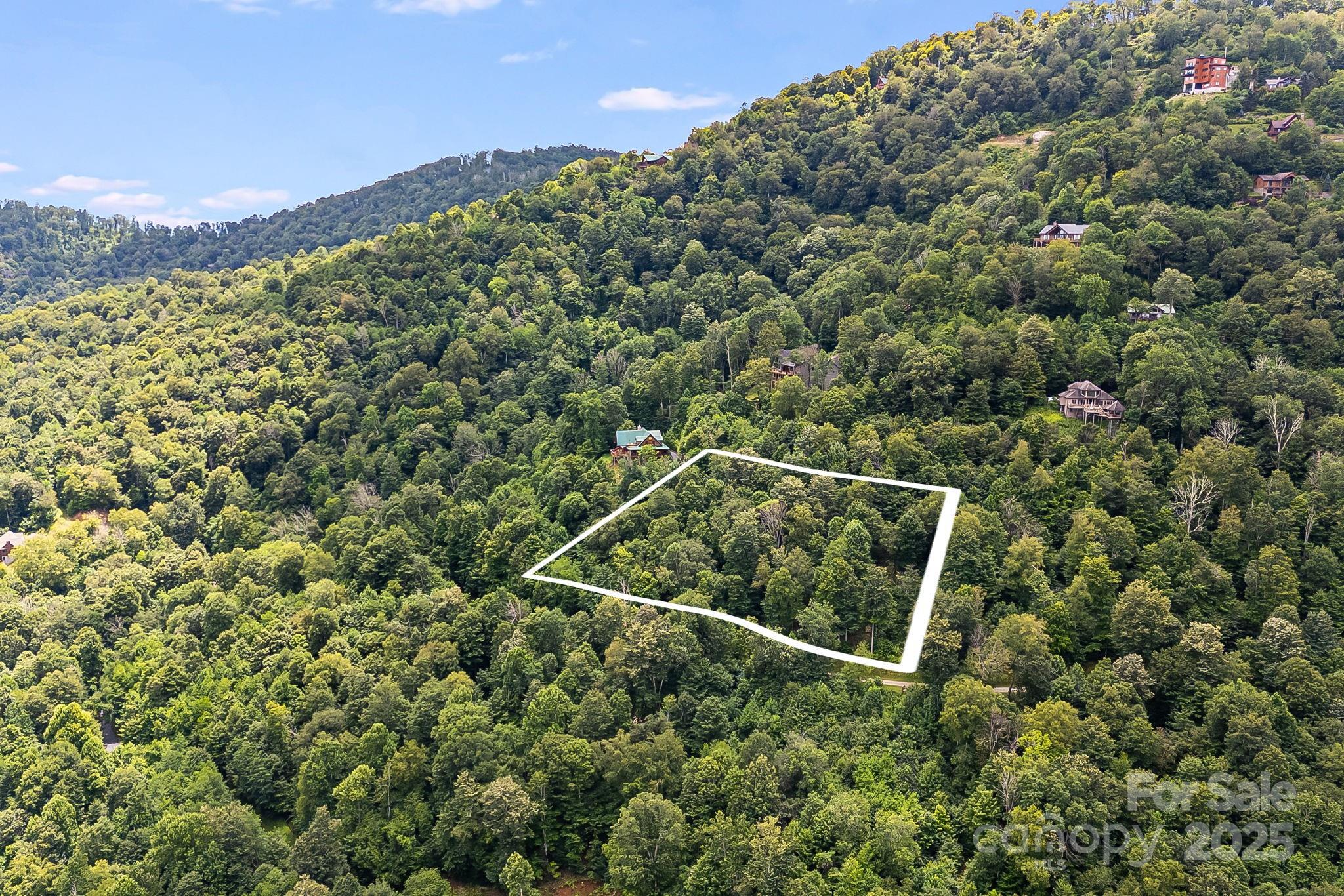 The Preserve at Wolf Laurel - Land