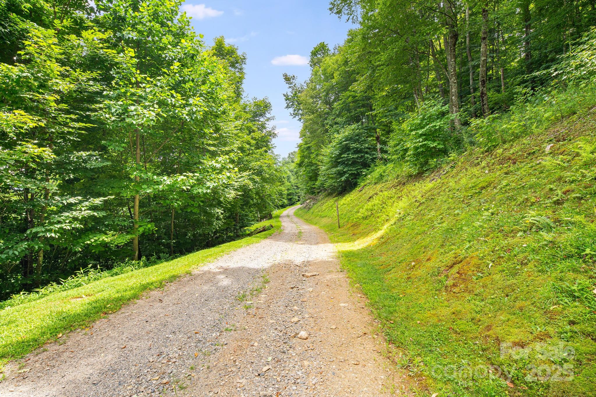 The Preserve at Wolf Laurel - Land