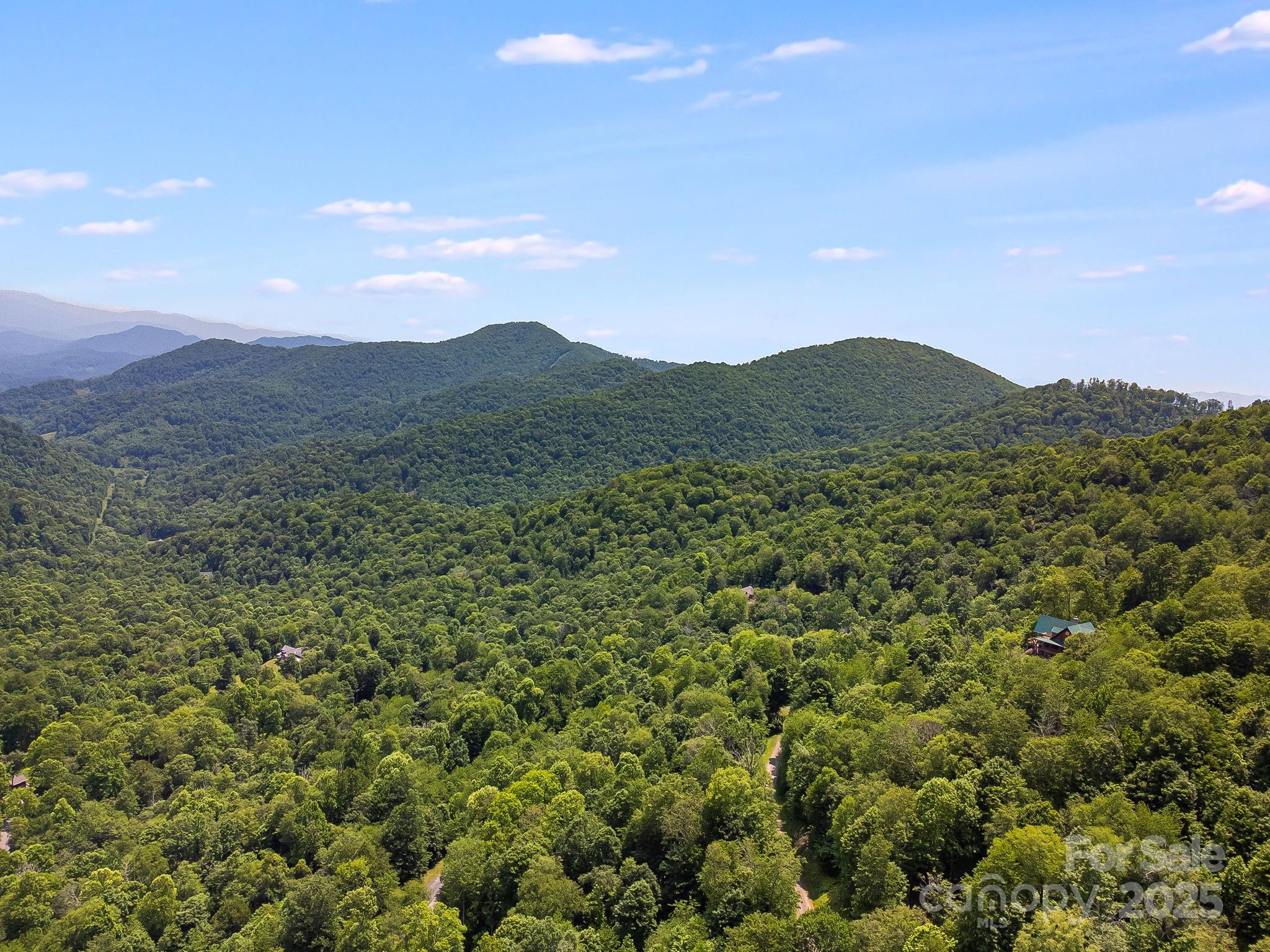 The Preserve at Wolf Laurel - Land