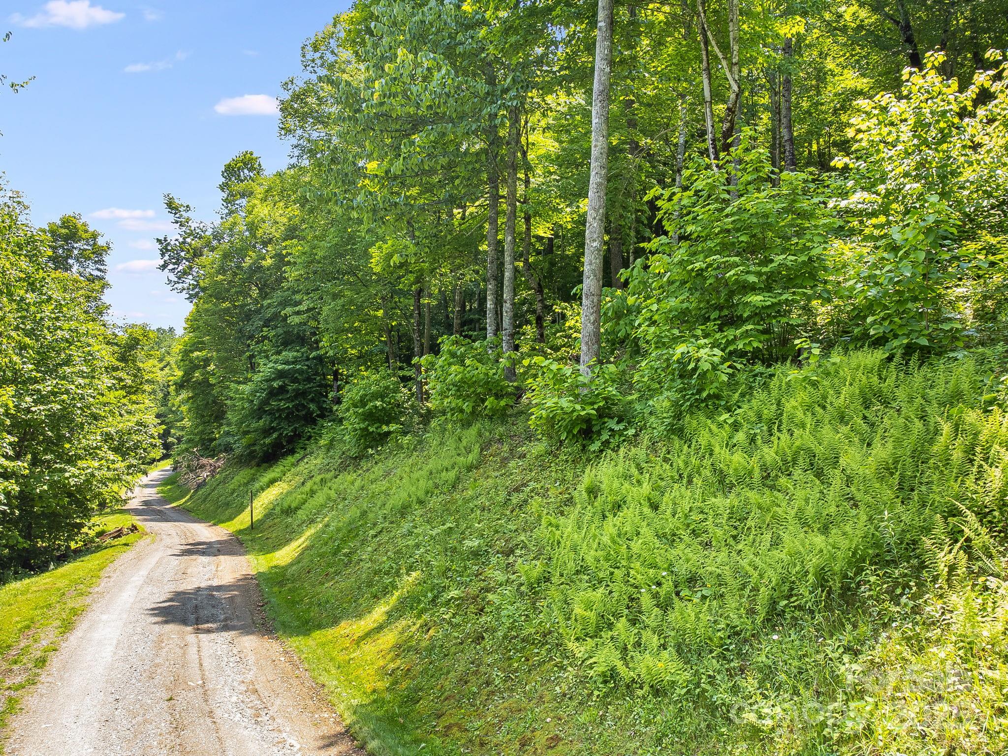The Preserve at Wolf Laurel - Land
