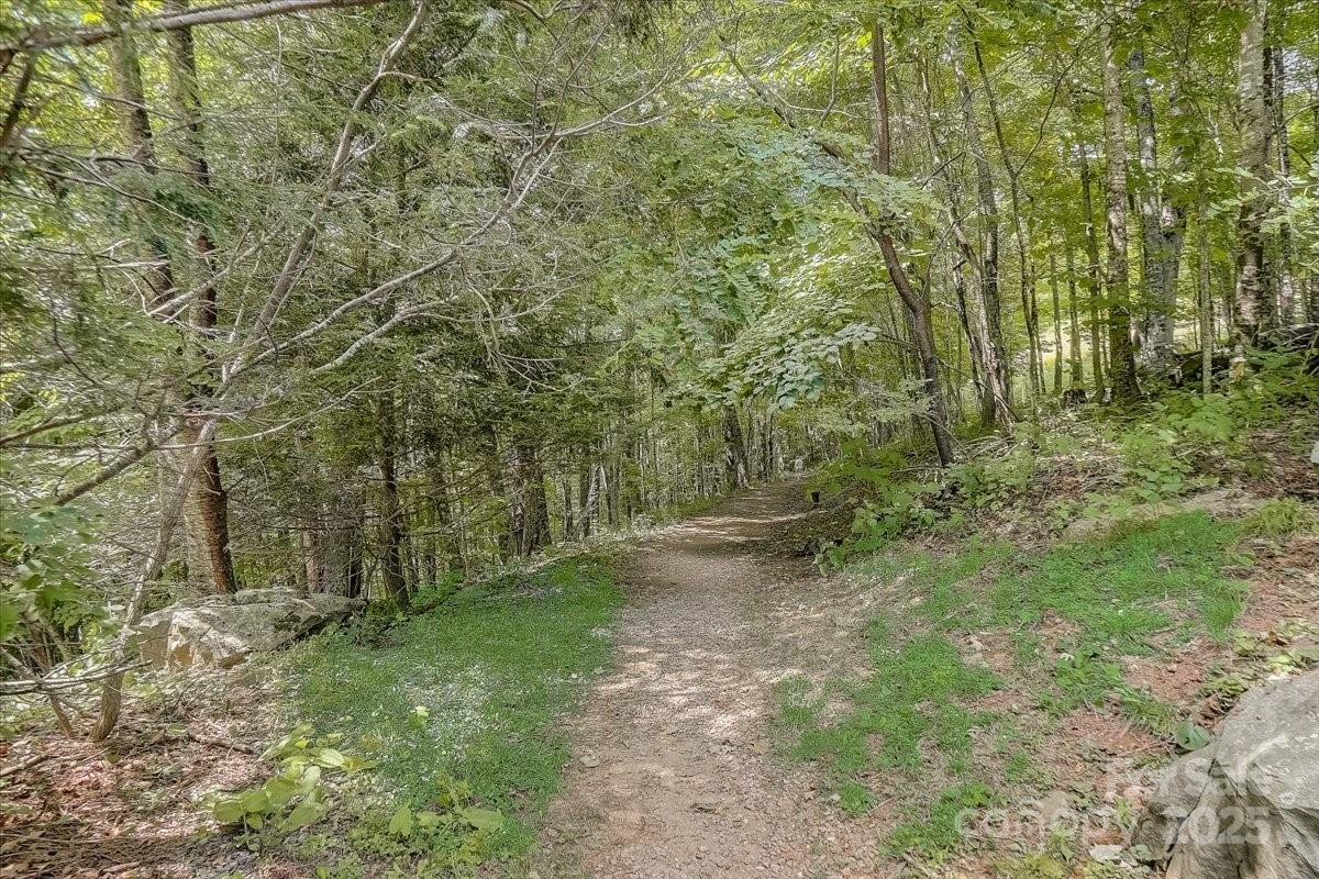 The Preserve at Wolf Laurel - Land