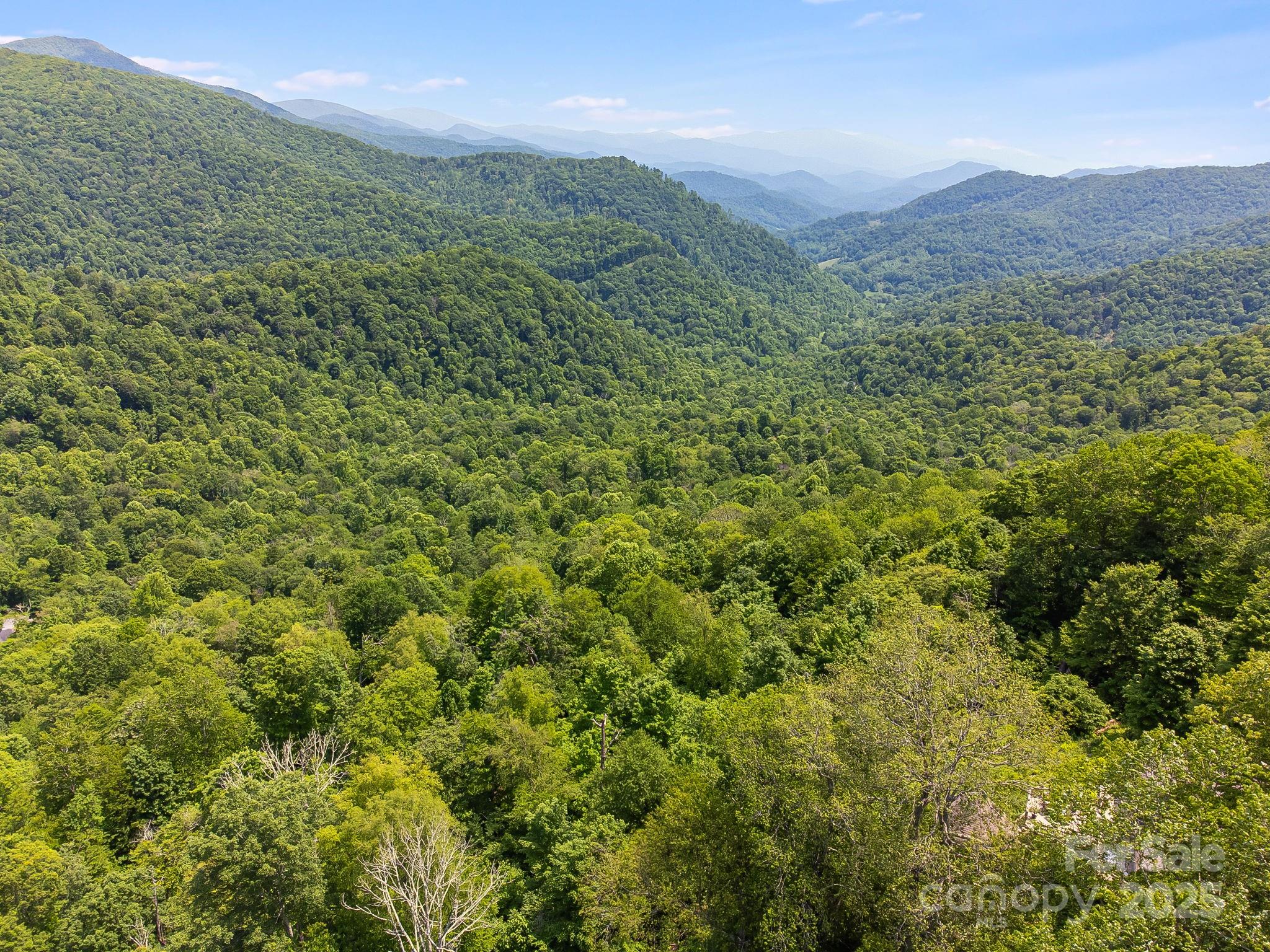 The Preserve at Wolf Laurel - Land