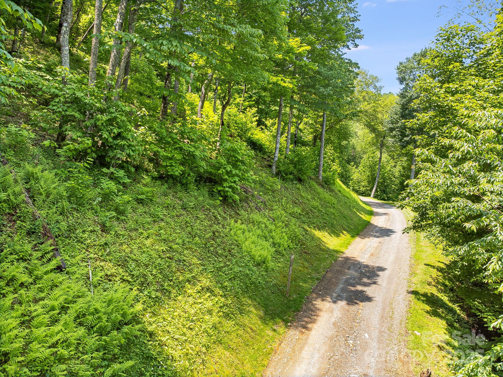The Preserve at Wolf Laurel - Land