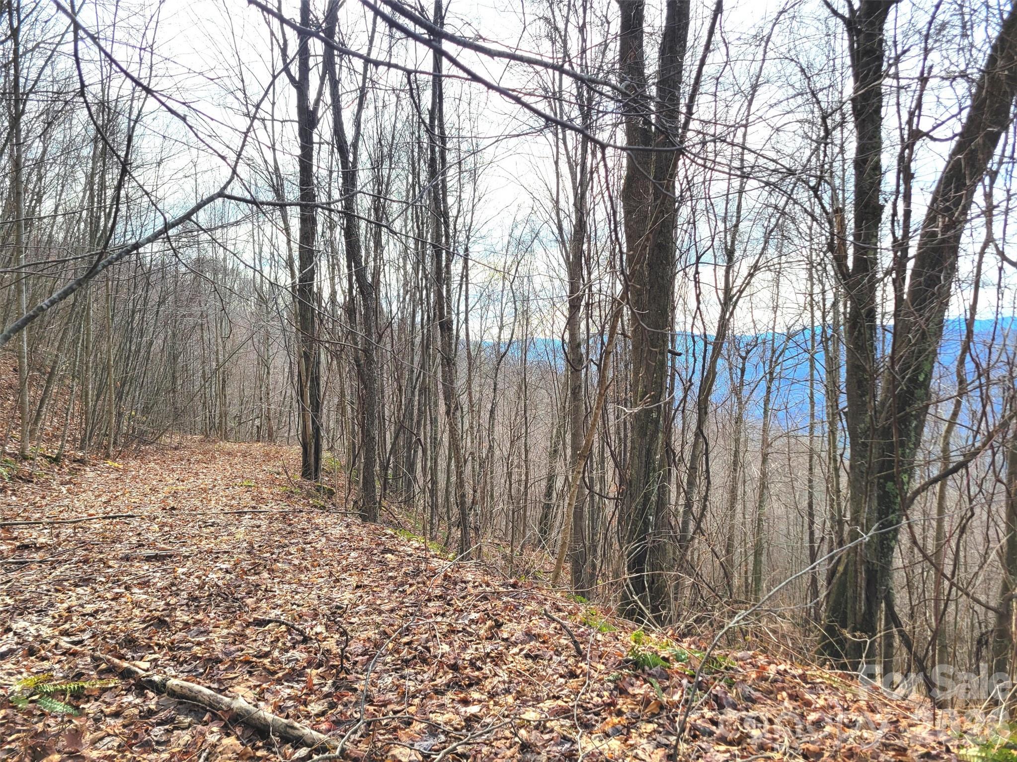 Sunset Heights - Land