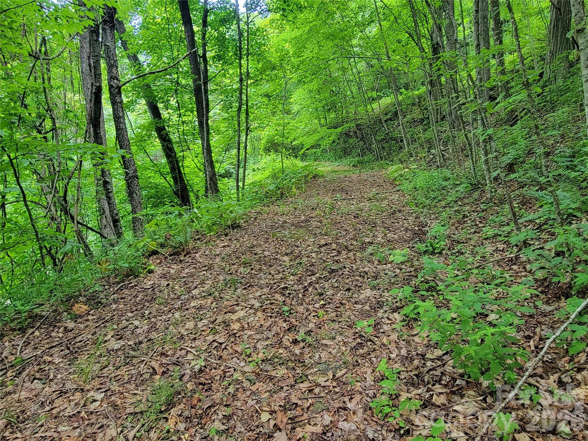 Sunset Heights - Land