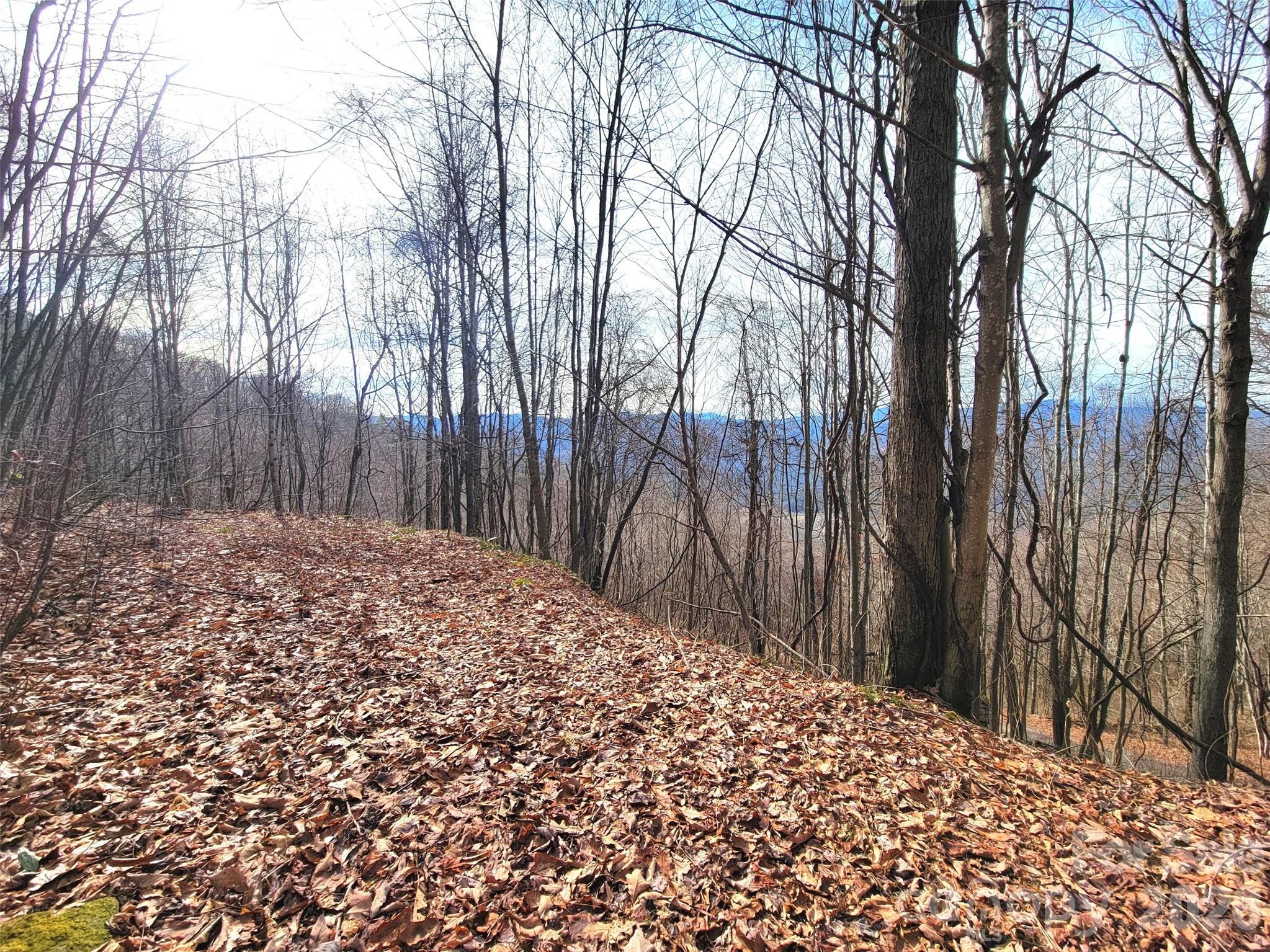 Sunset Heights - Land