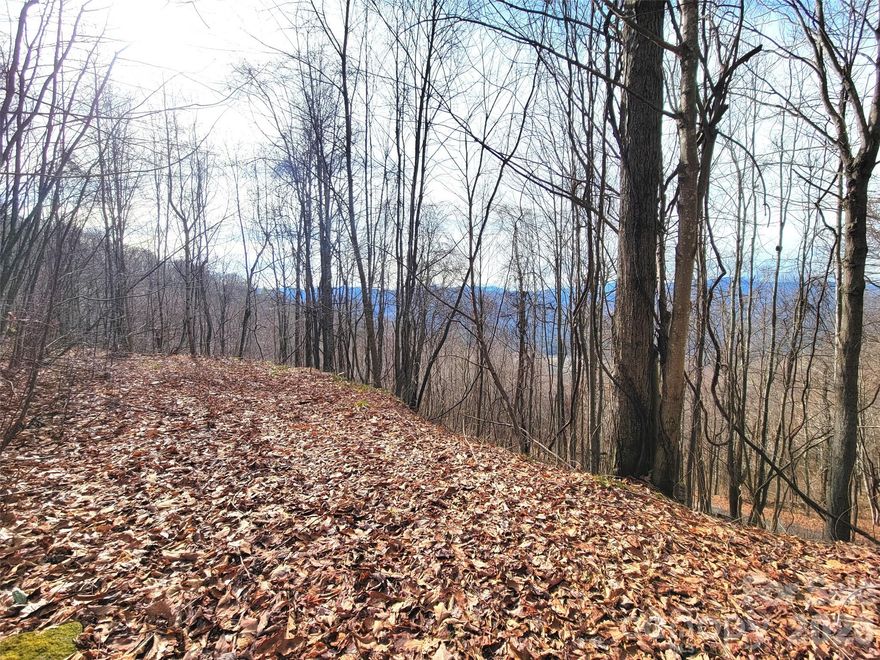 Long-range mountain and valley views await on this 1.22-acre private homesite. All trees between the property and the view are located on your land, allowing you the flexibility to selectively clear and fully open the panorama. An established driveway and an extra-long cleared homesite (100+ feet) are already in place, providing ample space for both a home and garage. Enjoy the benefits of no city taxes and a low HOA fee of just $125 per year for road maintenance. A minimum of 1,000 square feet is required to build, and short-term vacation rentals are allowed—making this an excellent option for a primary residence, second home, or investment property. The seller is offering a $500 closing credit toward a septic permit. With approximately 290 feet of road frontage on Justin Ridge between Kolbert Lane and Rimrock Ridge Road, this peaceful setting is ideal for relaxing evenings and unforgettable sunset views. The driveway entrance is located off Rimrock Ridge Road on the right. (Rimrock is just before 195 Justin Rdg, for your GPS directions)