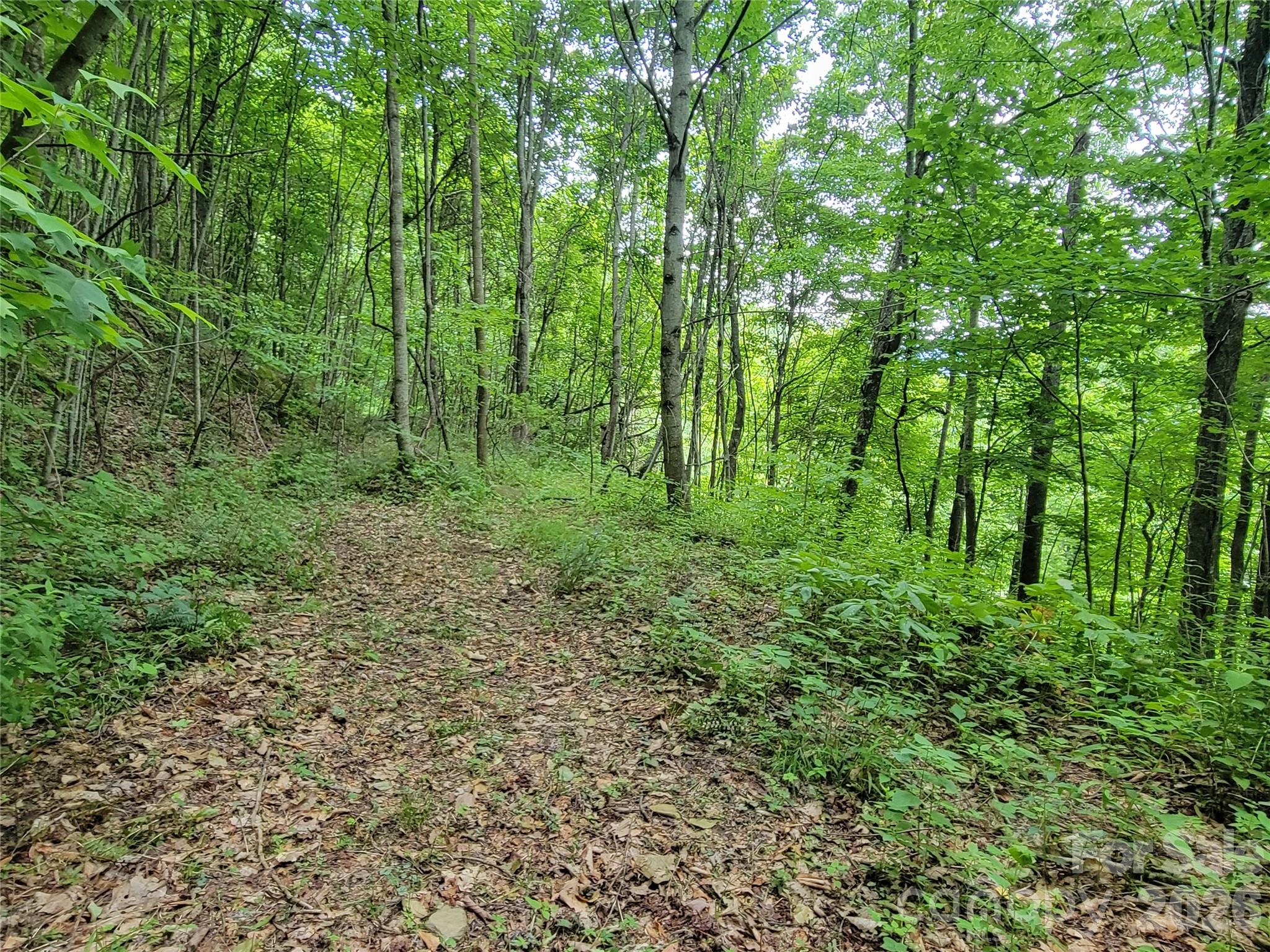 Sunset Heights - Land