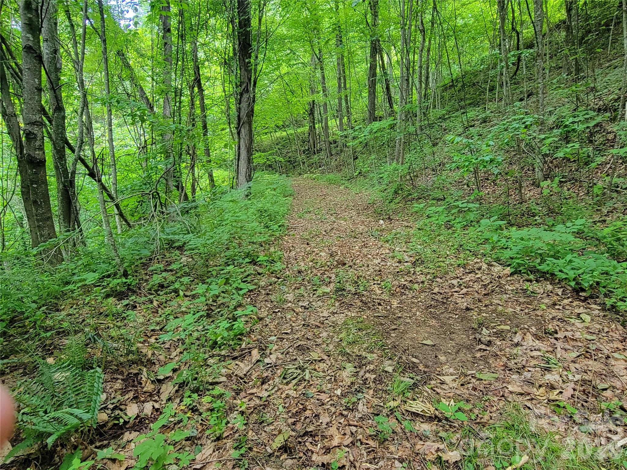 Sunset Heights - Land