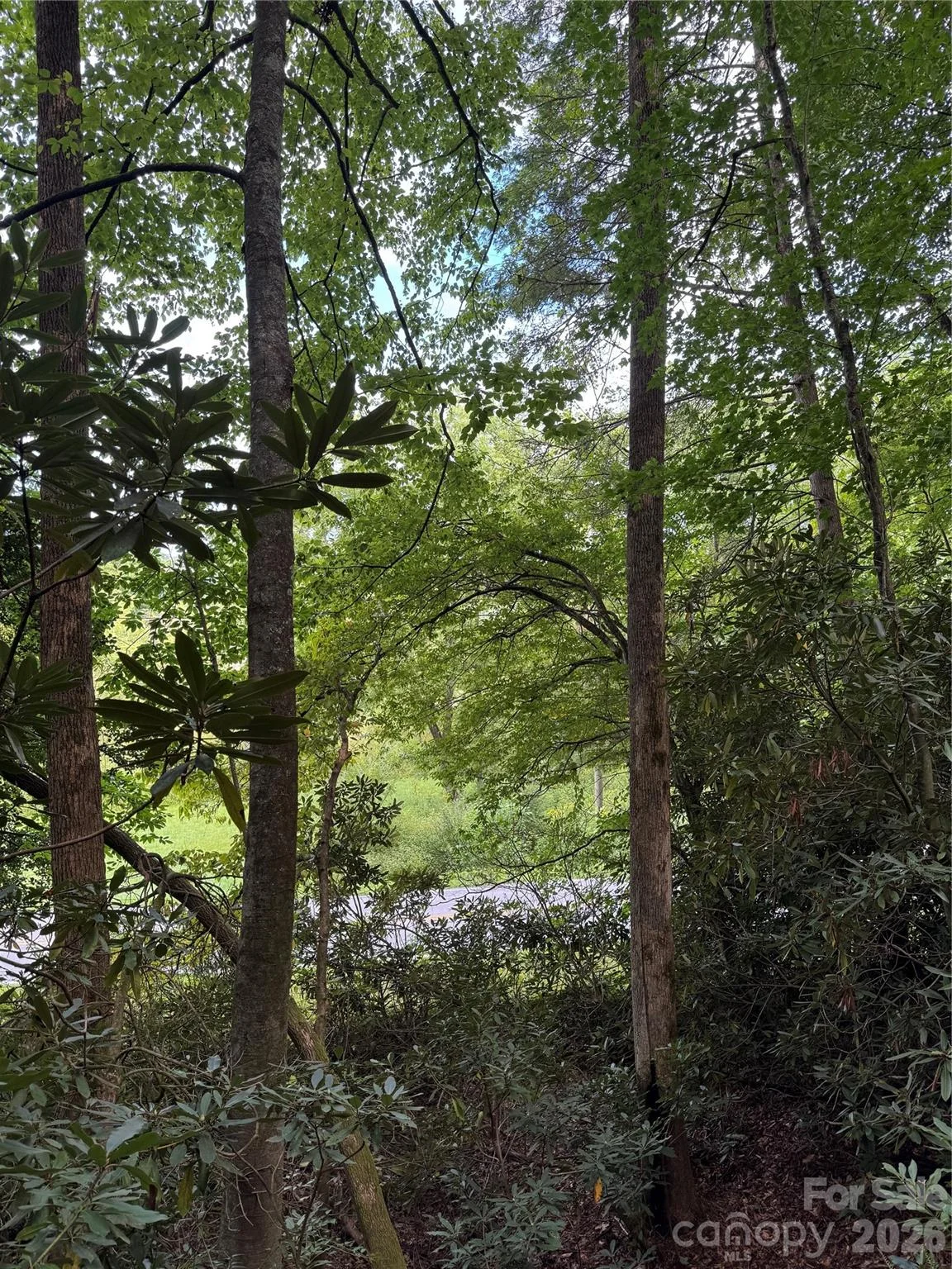 000 Wilson Road, Pisgah Forest, NC, 28768