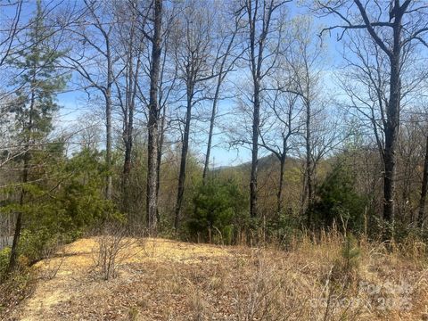32 Wild Iris Road Brevard NC 28712