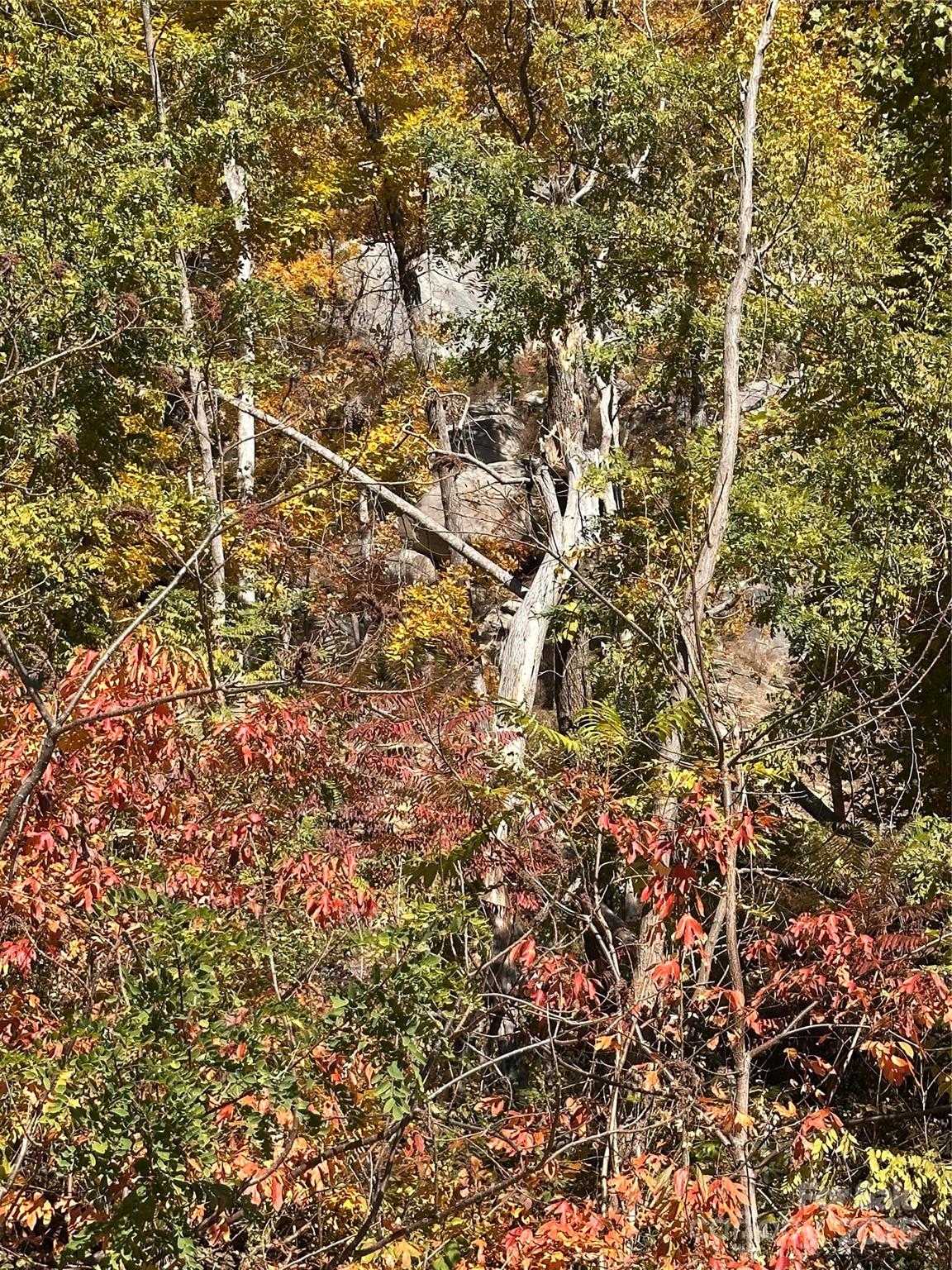 000 Cascada Vista Drive