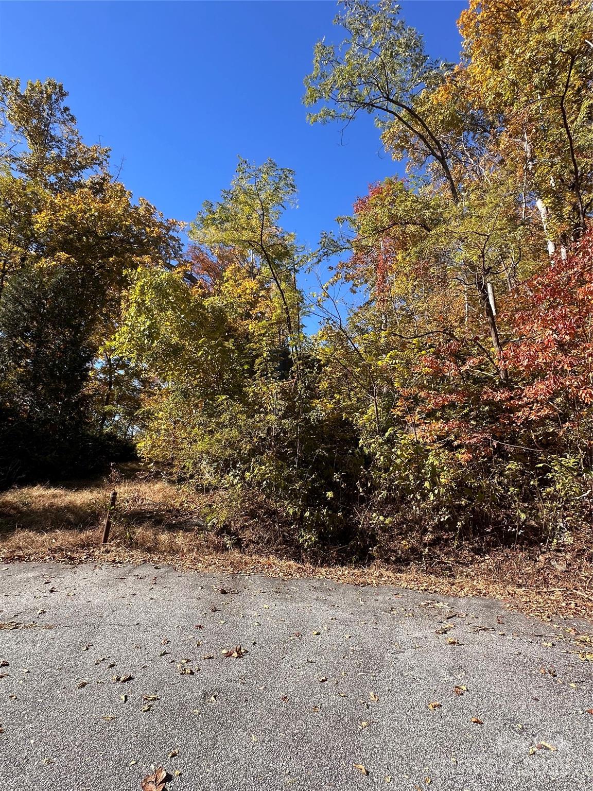 Photo 1 of 4 — 000 Cascada Vista Drive, Chimney Rock, NC 28720