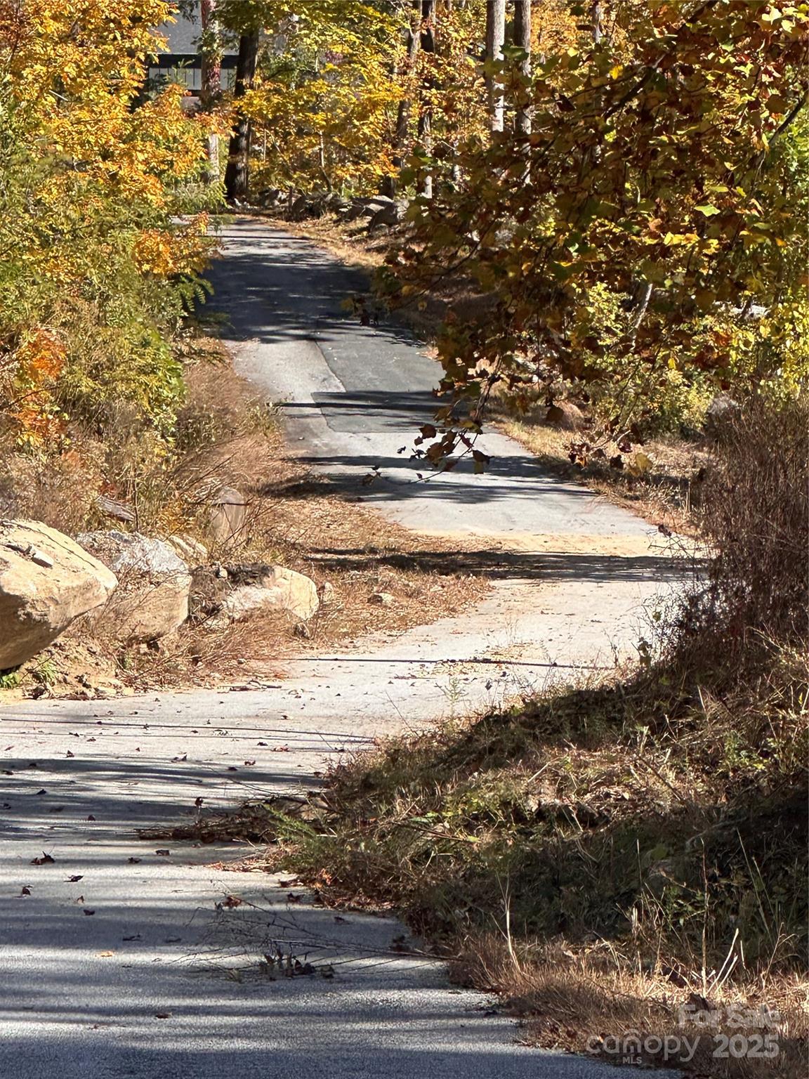 000 Cascada Vista Drive