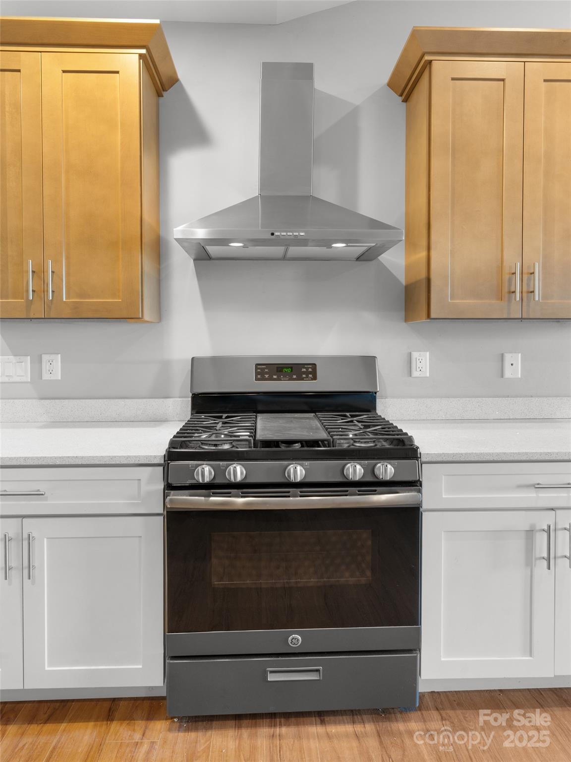 Vista at Blacksmith Run - Residential