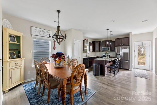 1232 Scotch Meadows Loop