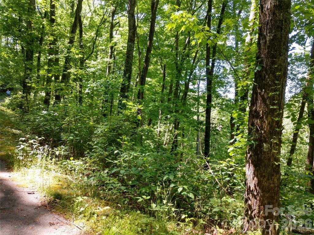 Sleepy Hollow - Land