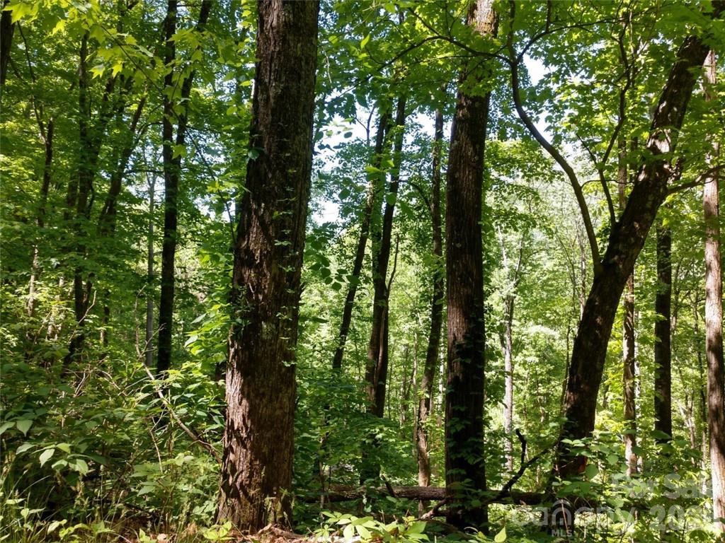 Sleepy Hollow - Land