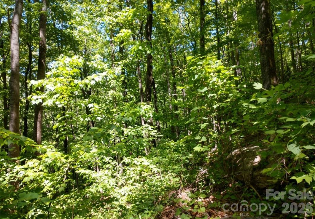 Sleepy Hollow - Land