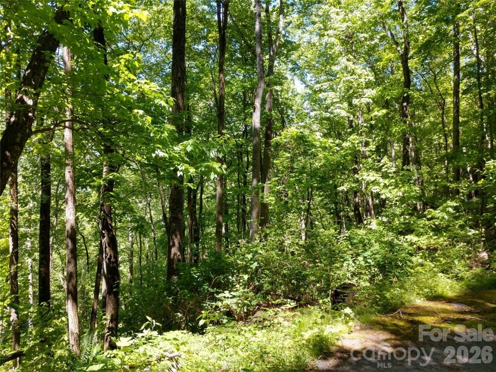 Sleepy Hollow - Land