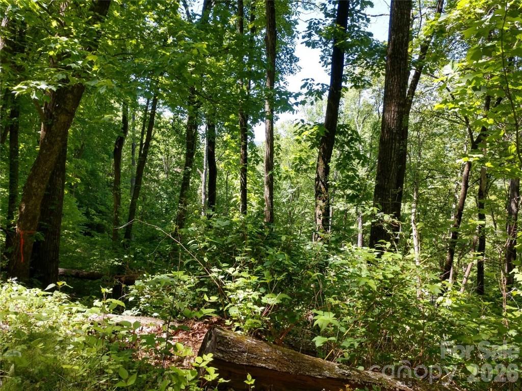 Sleepy Hollow - Land