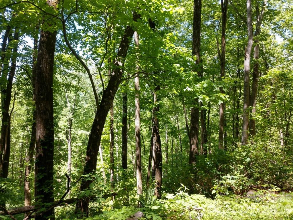 Sleepy Hollow - Land