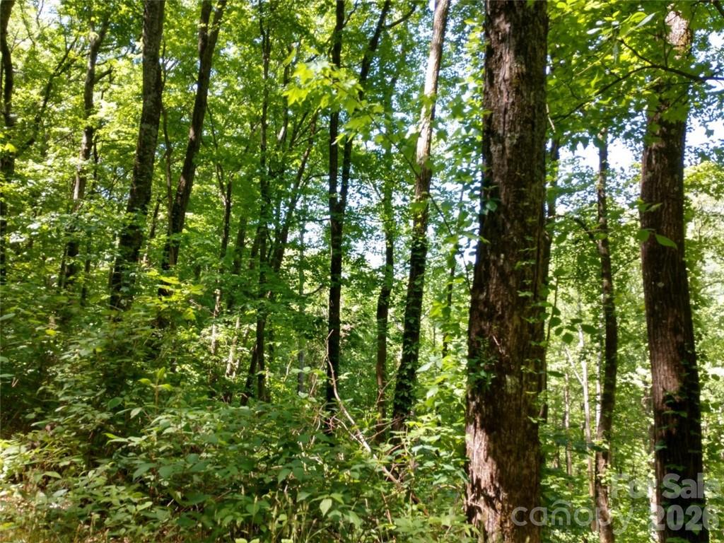 Sleepy Hollow - Land