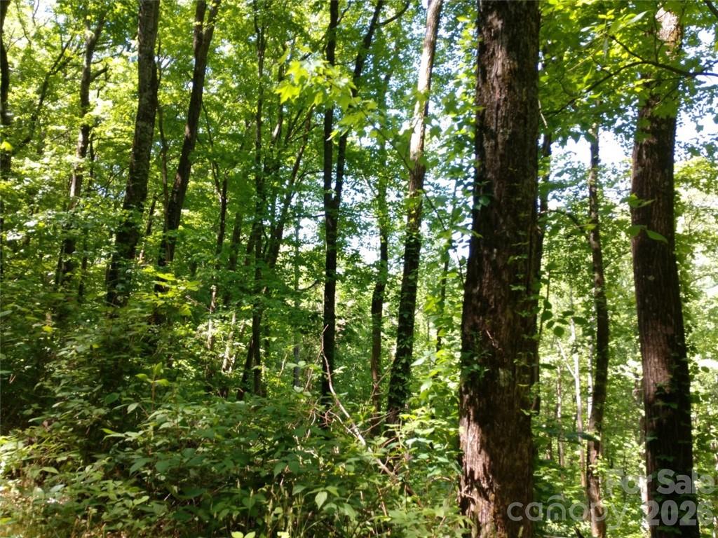 Sleepy Hollow - Land