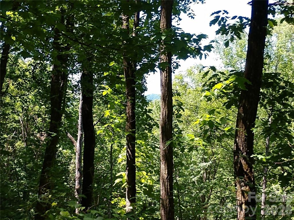 Sleepy Hollow - Land