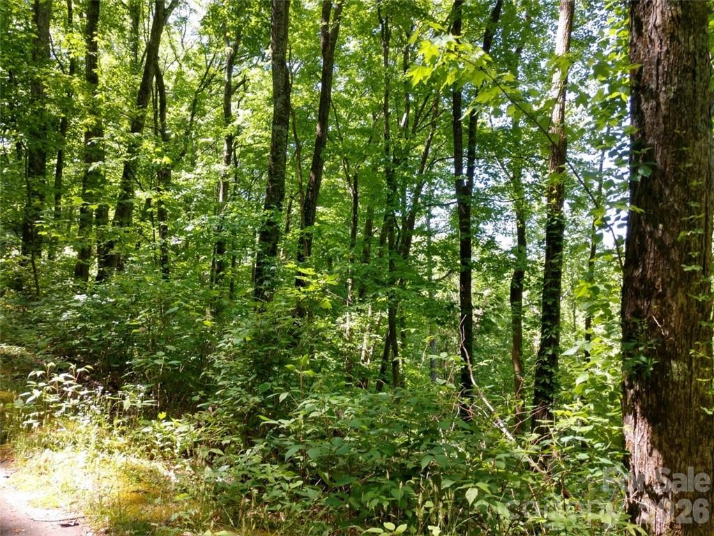 Sleepy Hollow - Land