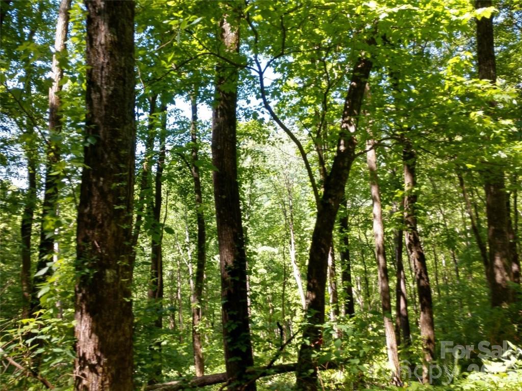 Sleepy Hollow - Land