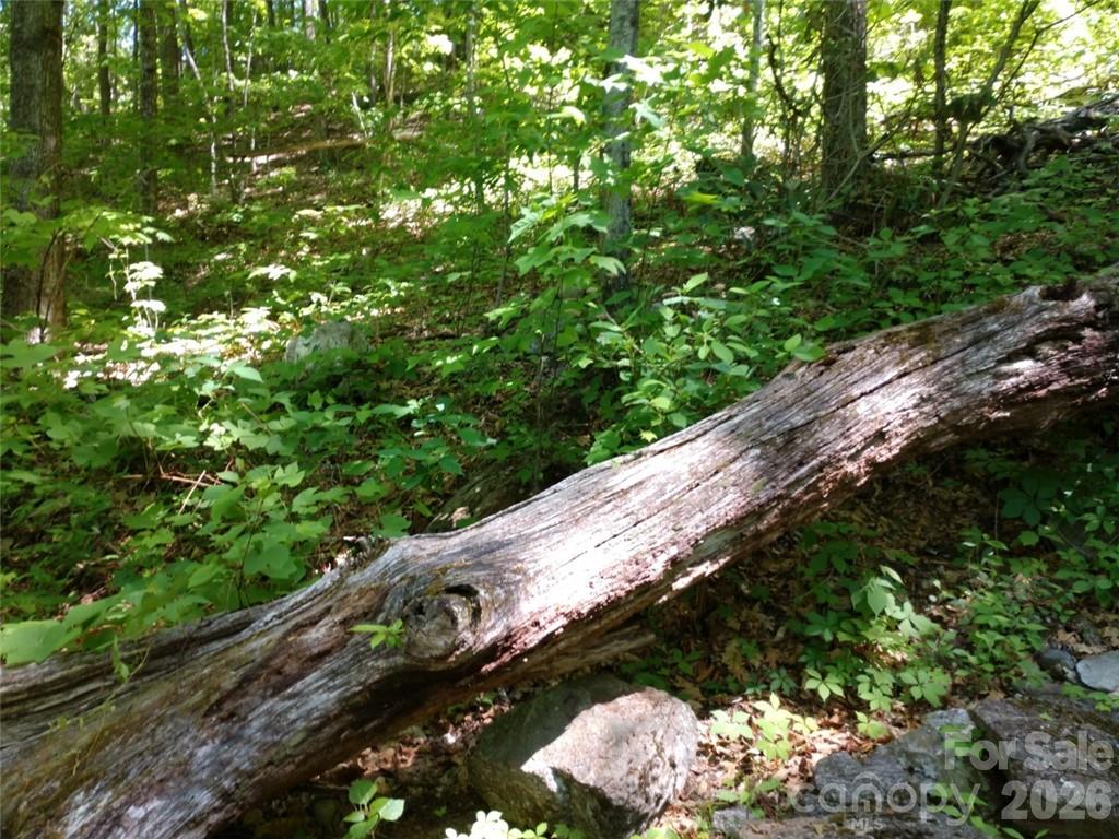 Sleepy Hollow - Land