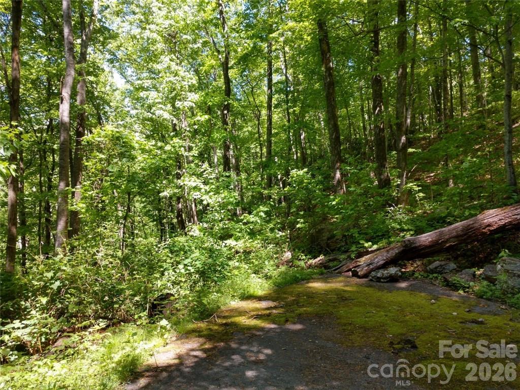 Sleepy Hollow - Land