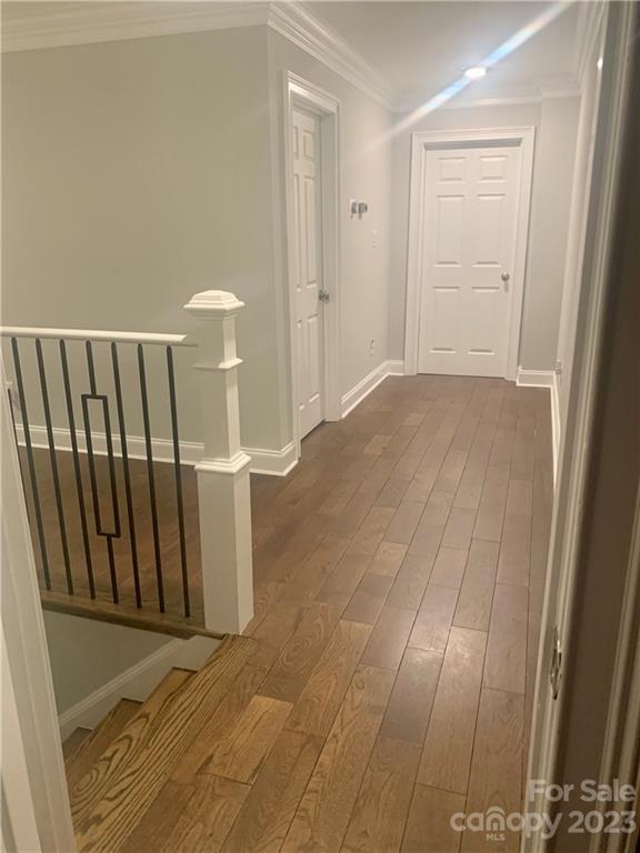 Mandy Plantation - Residential