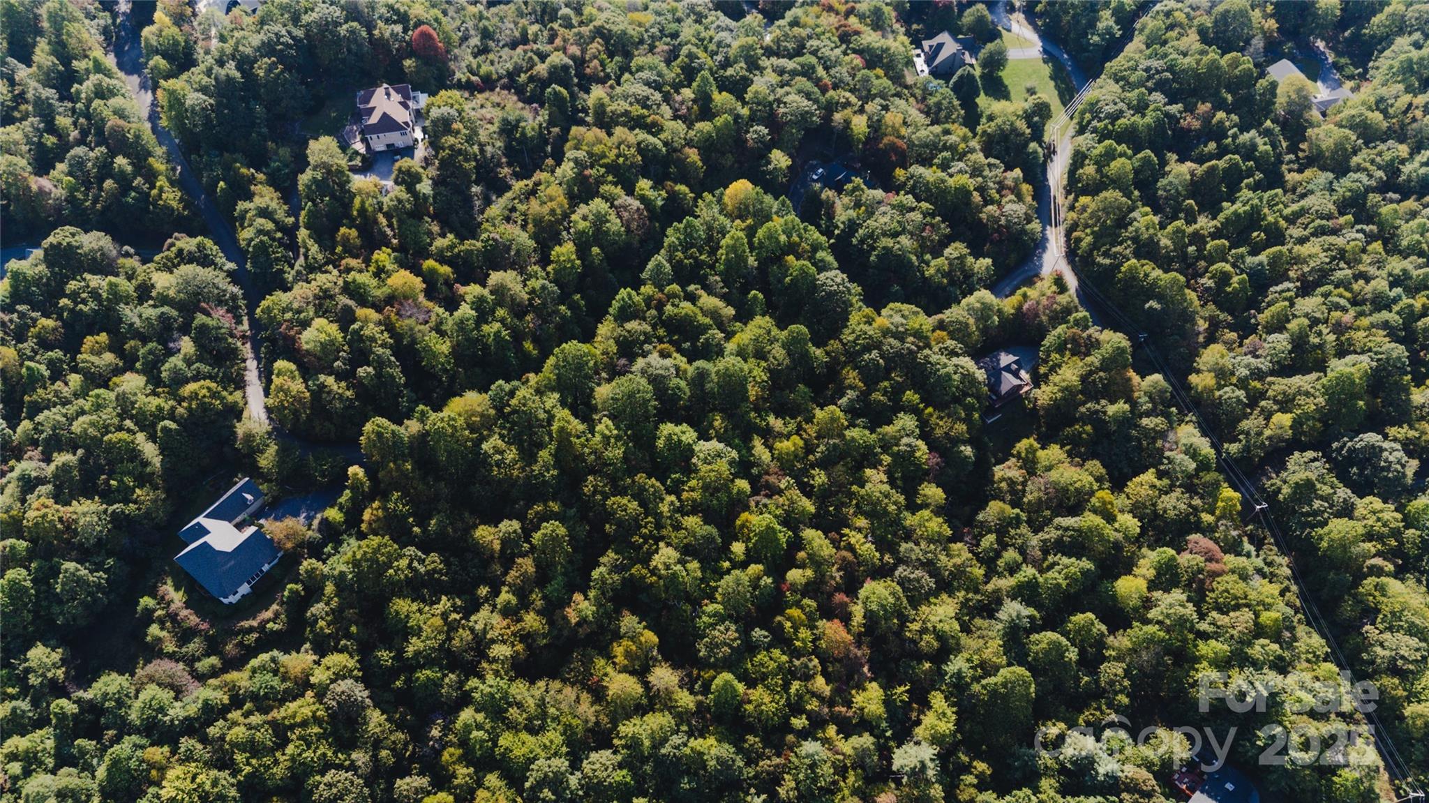 Pisgah Forest Farms - Land