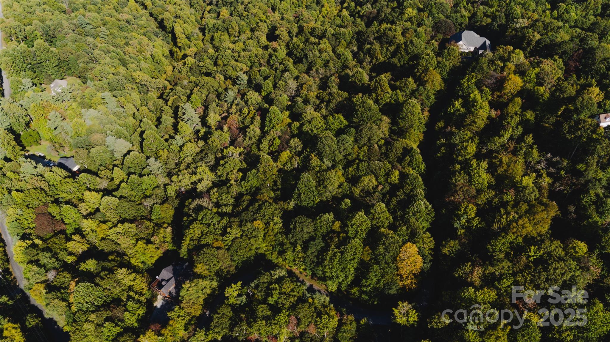 Pisgah Forest Farms - Land