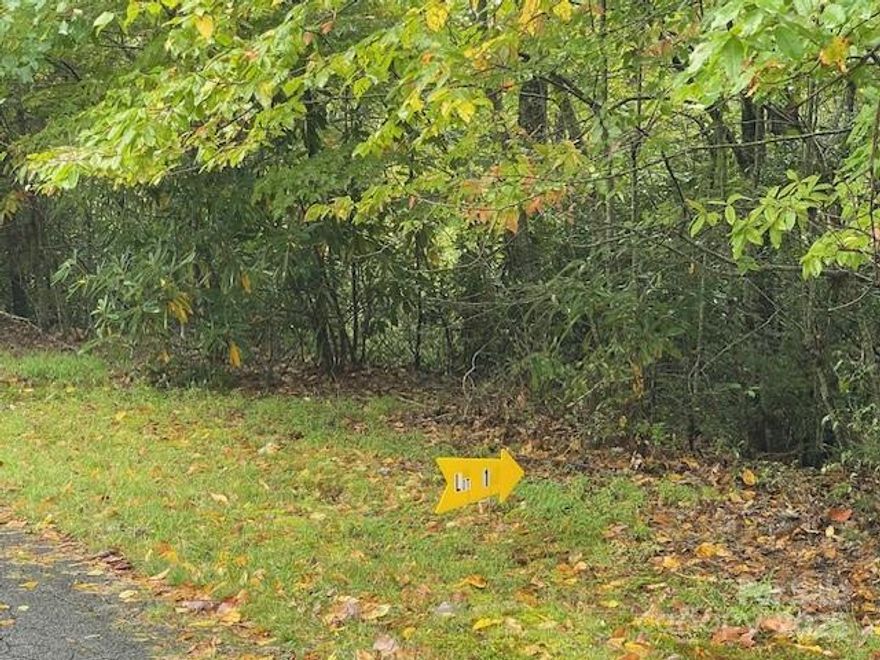 OWNER FINANCING OPTION AVAILABLE!! SHORT TERM RENTALS ALLOWED!! Tucked away in Western North Carolina’s Blue Ridge Mountains, this wooded lot offers the perfect balance of seclusion and convenience. Surrounded by towering trees and the quiet beauty of nature, the property provides a serene setting with endless potential—whether you’re looking to build a private cabin retreat, a permanent residence, or hold land in one of the region’s most desirable areas. Its location is one of its greatest assets, placing you within easy reach of Brevard, Hendersonville, and some of the most celebrated outdoor destinations in the Southeast.

Just minutes away lies Pisgah National Forest, a haven for outdoor enthusiasts with its vast network of hiking and biking trails, scenic waterfalls, and panoramic overlooks. Also close by is DuPont State Recreational Forest, famous for its waterfalls, family-friendly trails, and opportunities for hiking, cycling, and horseback riding. These protected lands offer countless adventures right outside your doorstep, making this lot an exceptional choice for anyone who loves spending time in nature.

At the same time, this property doesn’t sacrifice convenience. Within a short drive, you can enjoy the charm of downtown Brevard, Hendersonville and Asheville. as well as the Asheville Airport.
Owning property in this area is more than just an investment in land—it’s an investment in a lifestyle. This lot offers you the chance to wake up surrounded by mountain air, birdsong, and forest views, while knowing that some of the region’s best hiking, biking, fishing, and cultural experiences are just minutes away.

This wooded lot presents a rare opportunity to secure your own piece of the Blue Ridge Mountains. Whether you envision a quiet getaway, a family home with easy access to trails and mountain towns, or a smart investment in a growing region, this property embodies the best of what Western North Carolina has to offer: natural serenity, endless outdoor recreation, and a welcoming community spirit all within easy reach.