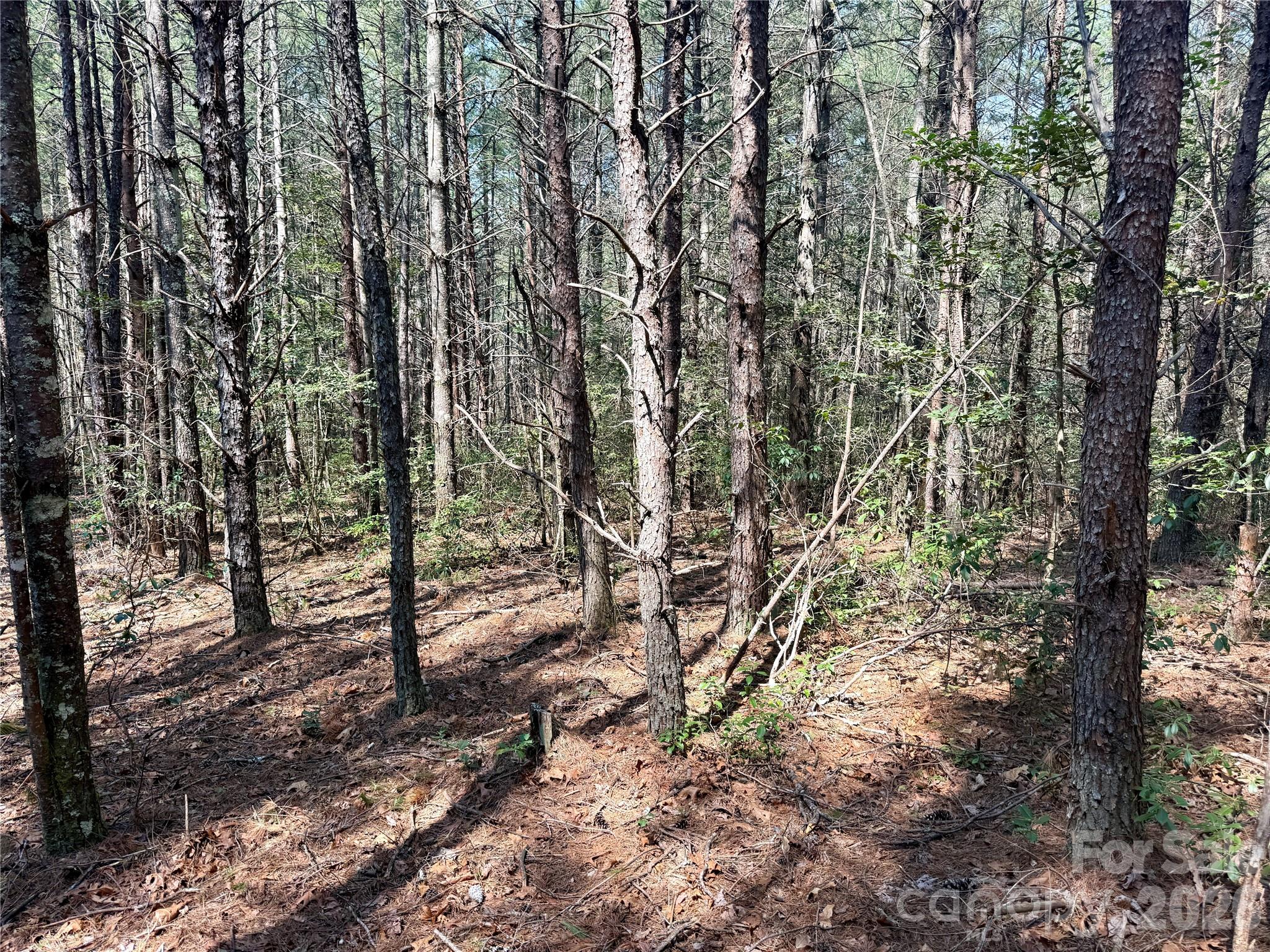 The Enclave at Lake James - Land