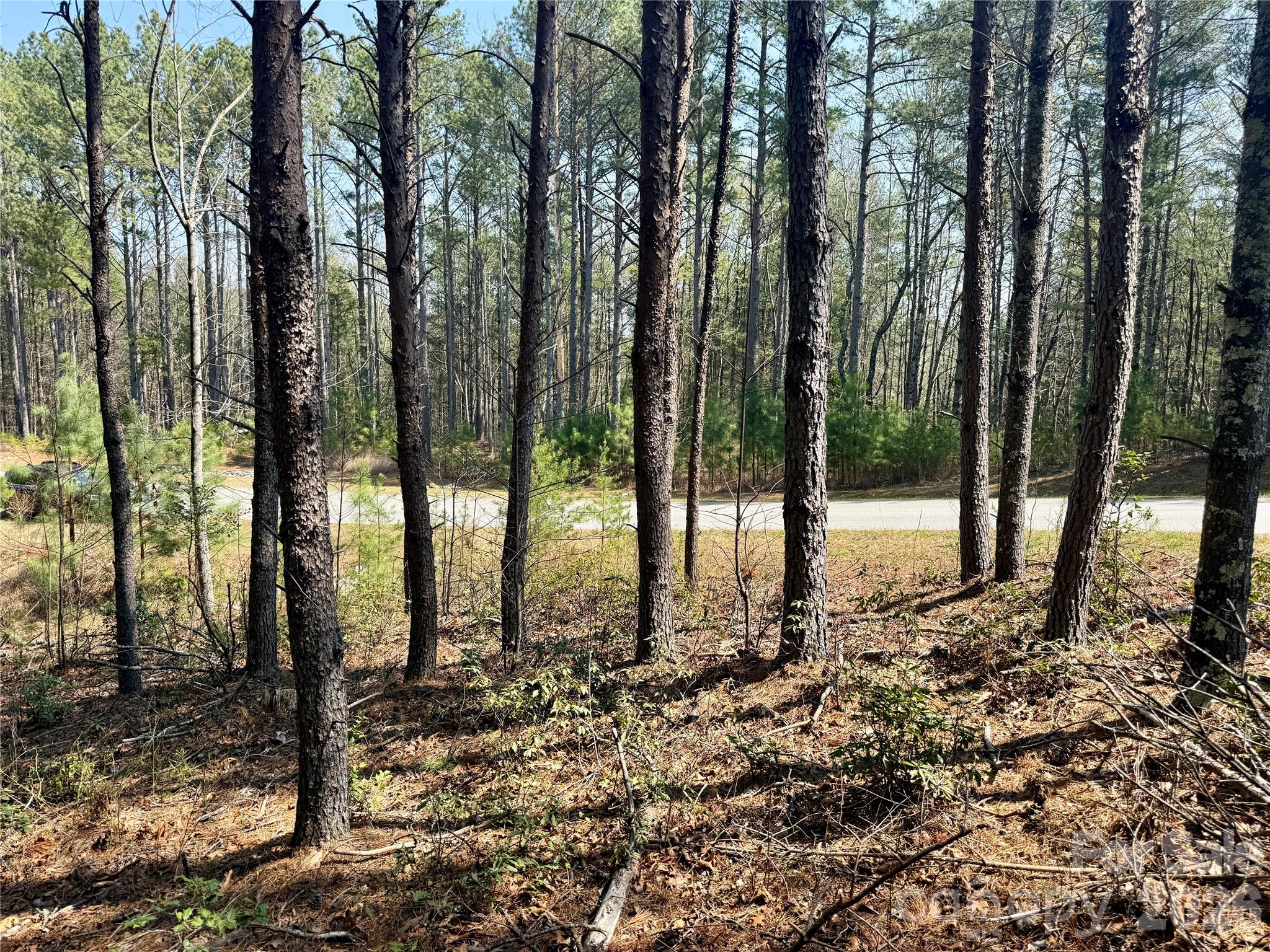 The Enclave at Lake James - Land