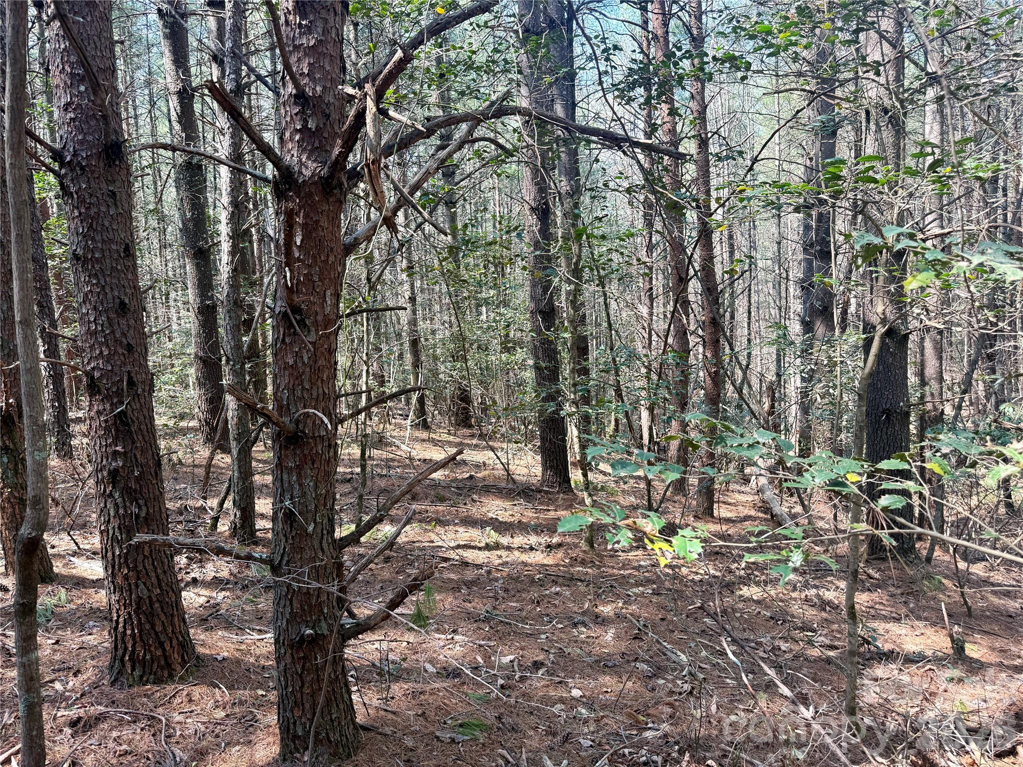 The Enclave at Lake James - Land