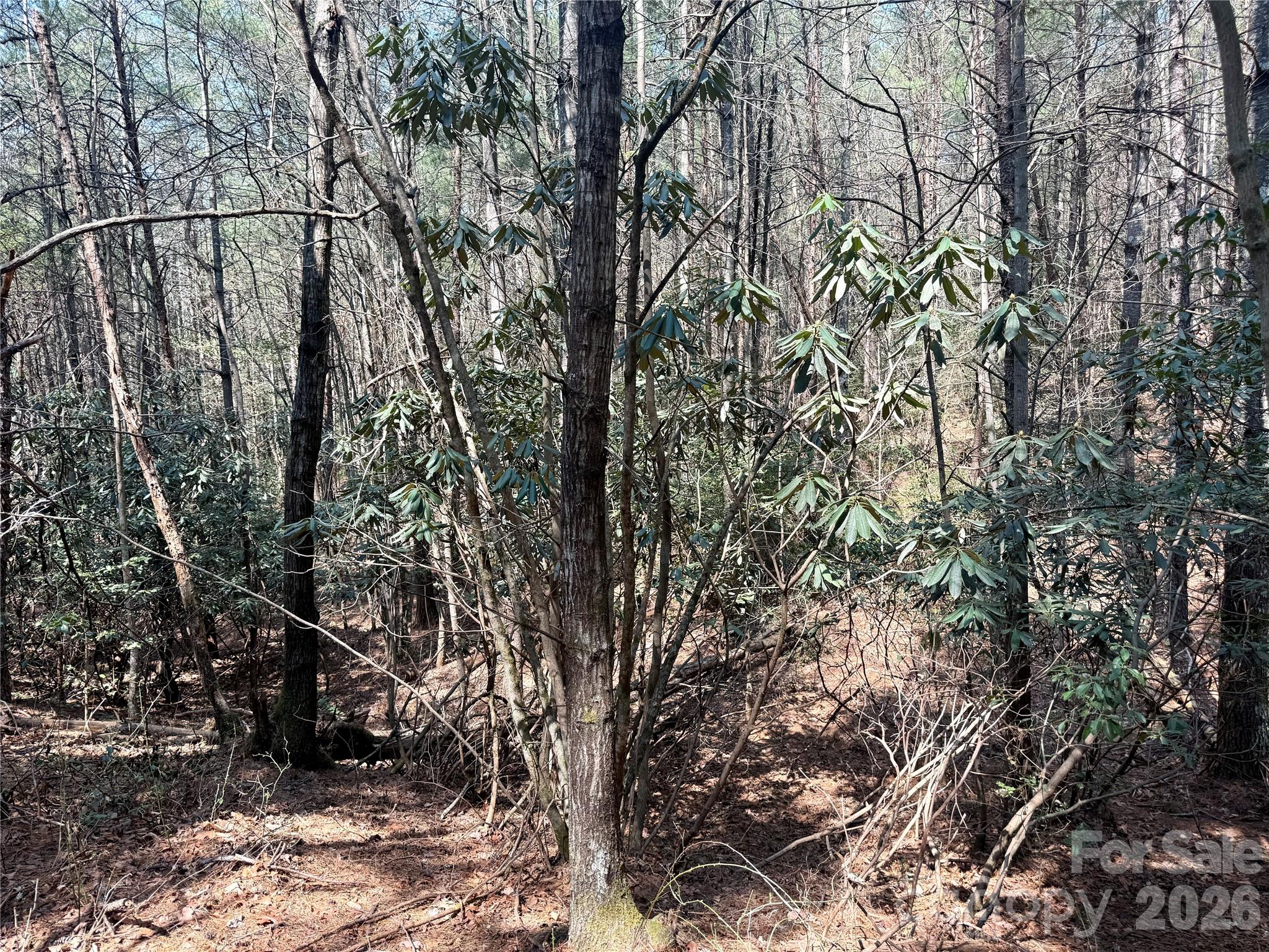 The Enclave at Lake James - Land