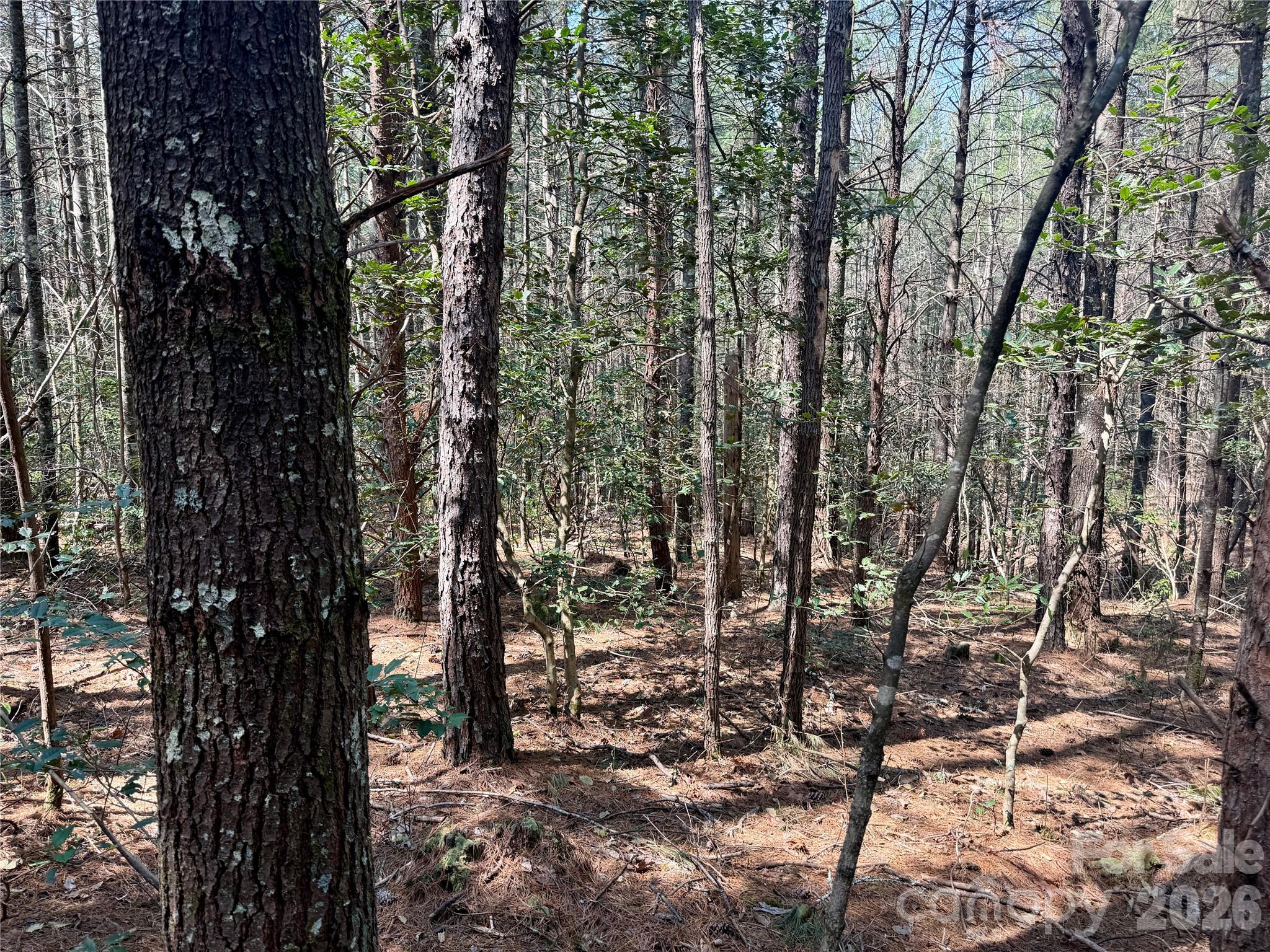 The Enclave at Lake James - Land