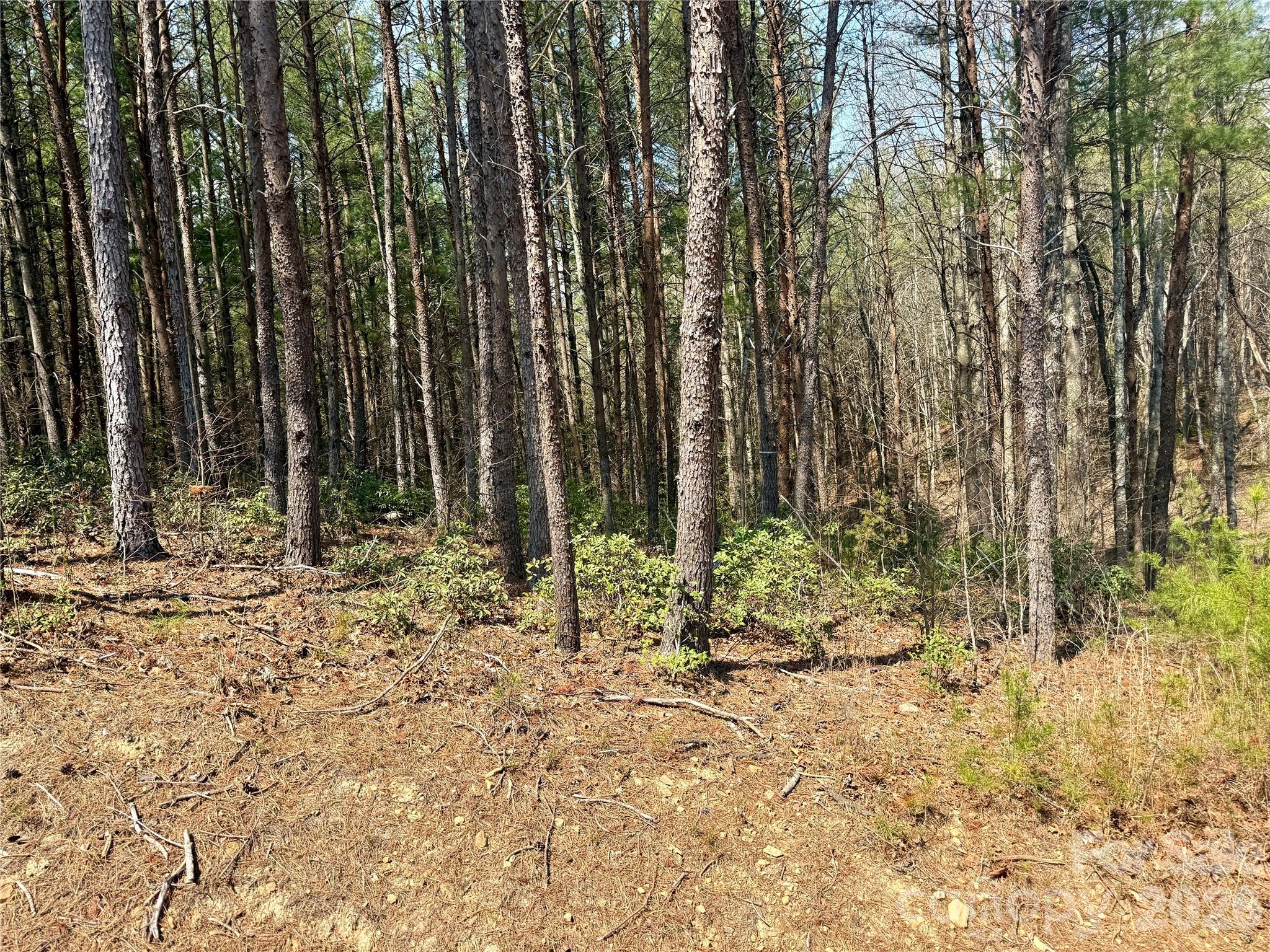 The Enclave at Lake James - Land