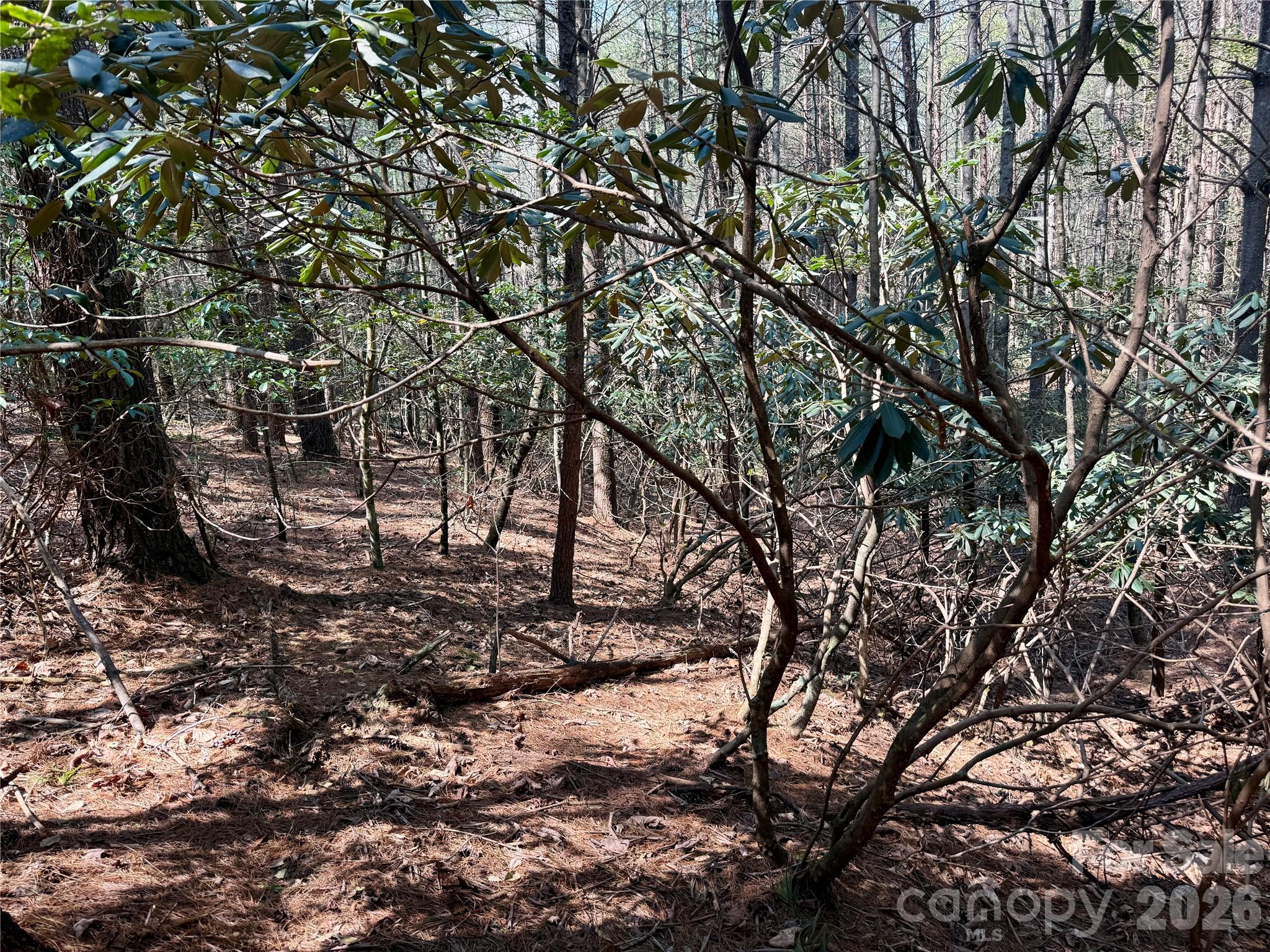 The Enclave at Lake James - Land