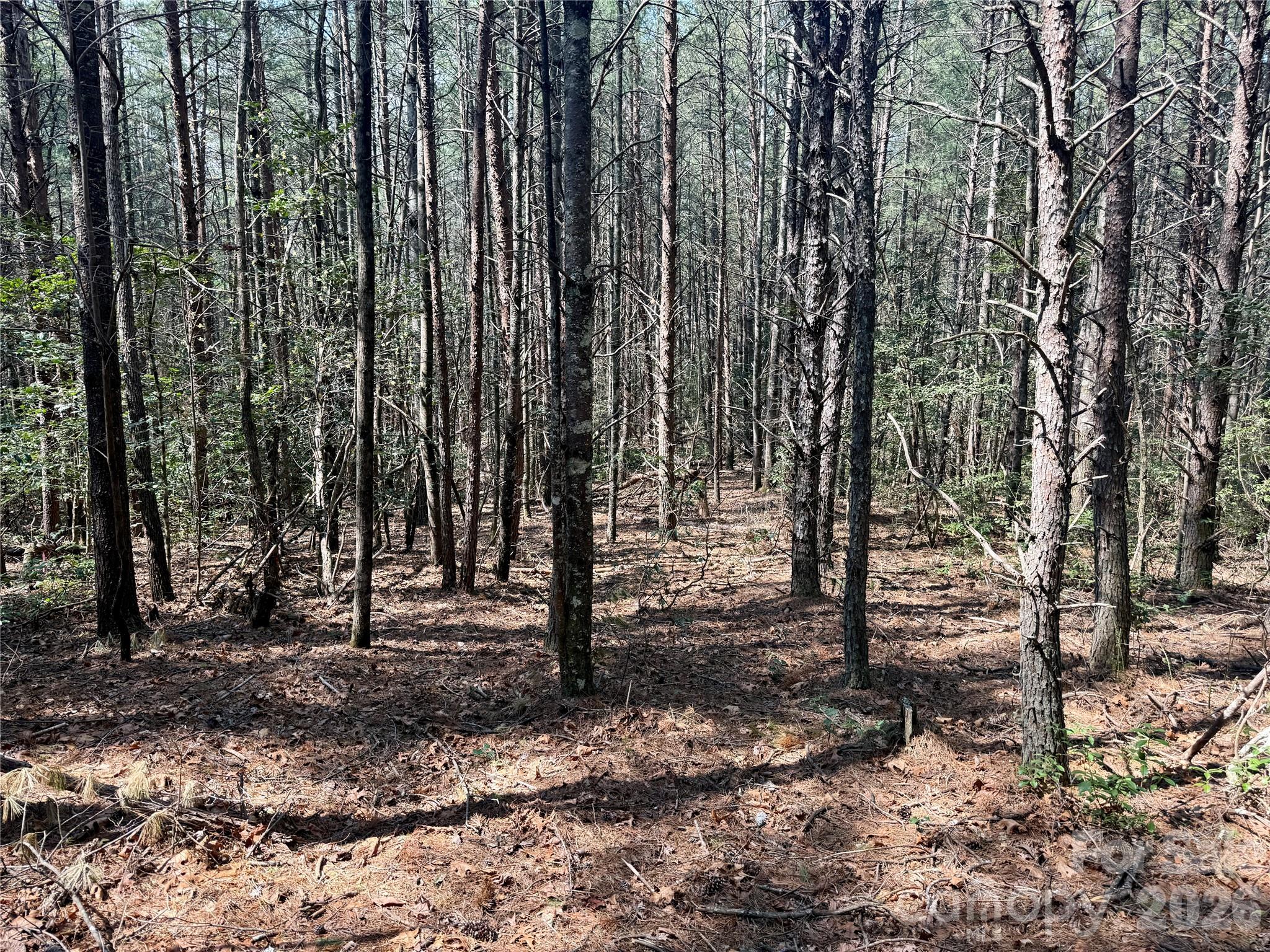 The Enclave at Lake James - Land