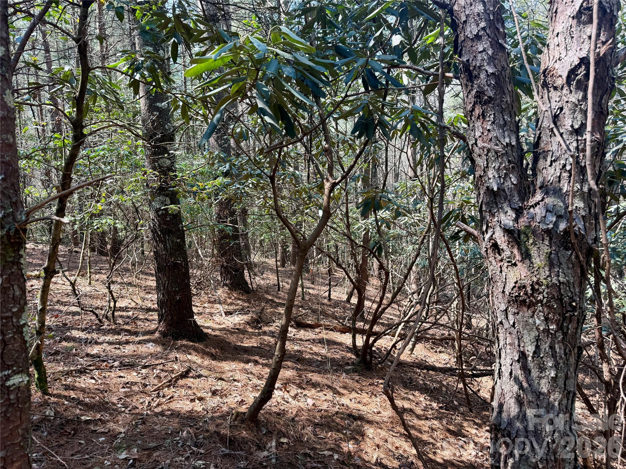 The Enclave at Lake James - Land